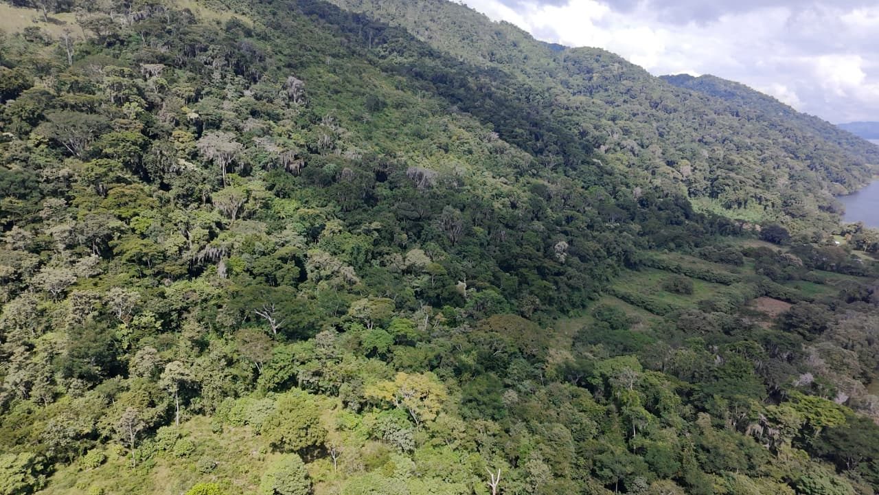 Pozo Azul: lotes frente al Lago de Yojoa