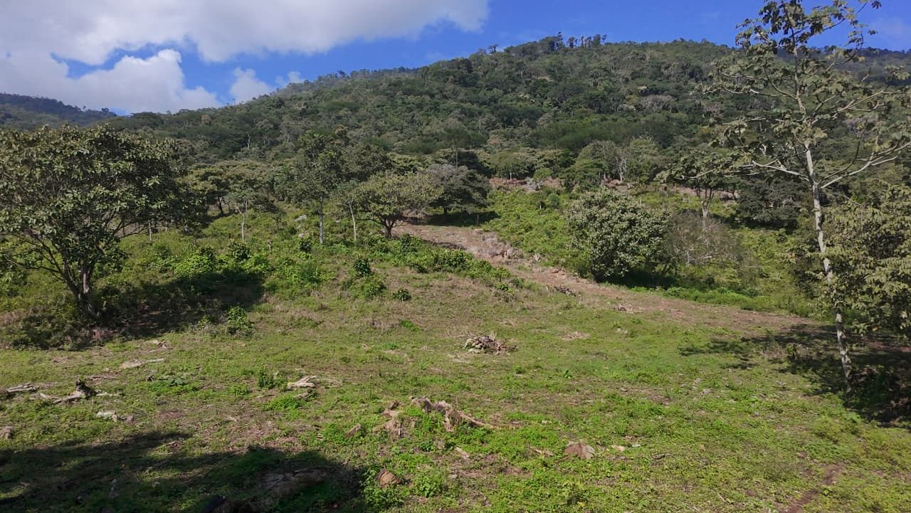 Pozo Azul: lotes frente al Lago de Yojoa