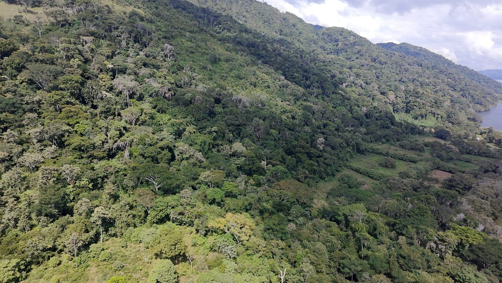 Pozo Azul: lotes frente al Lago de Yojoa