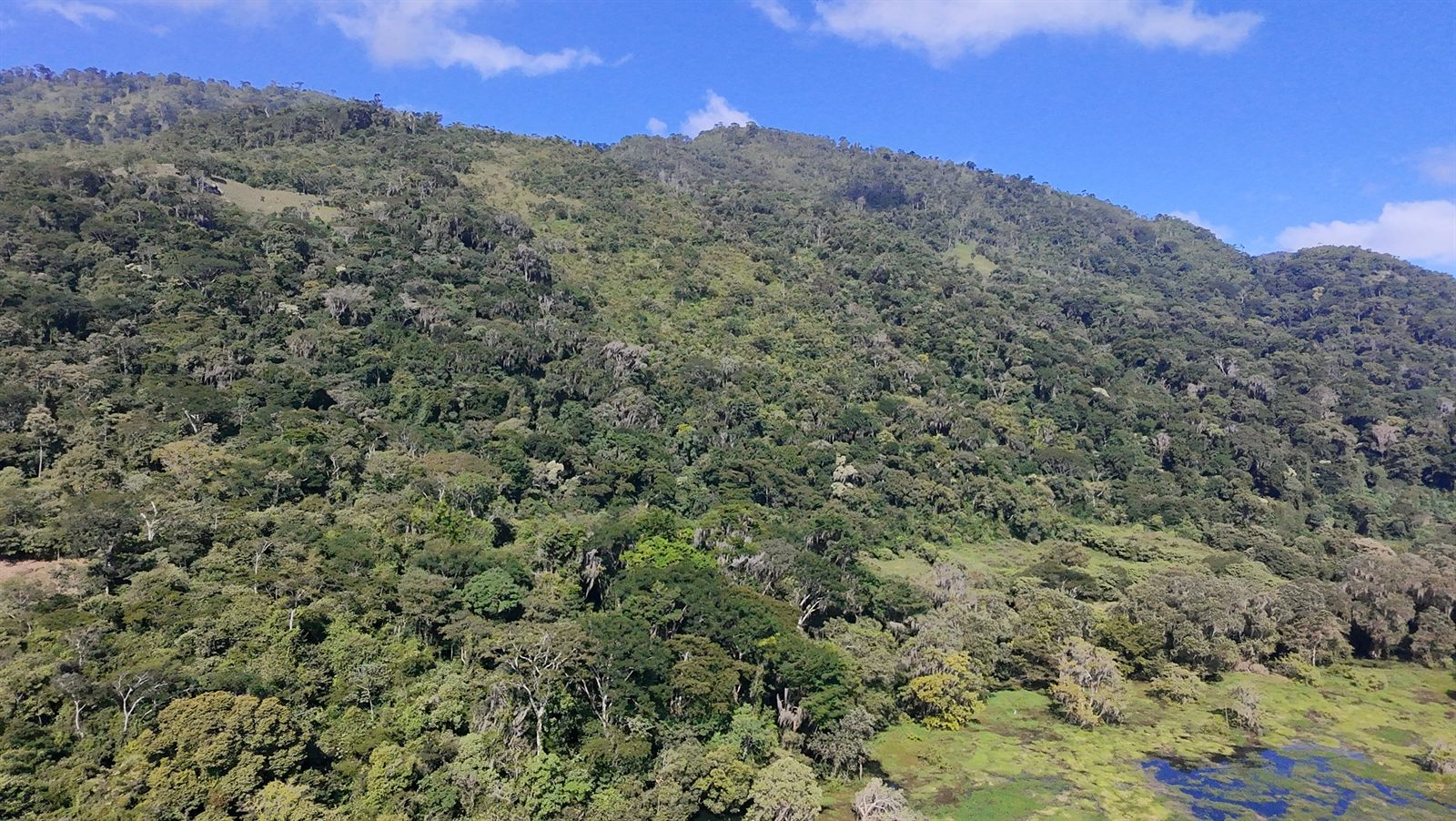 Pozo Azul: lotes frente al Lago de Yojoa