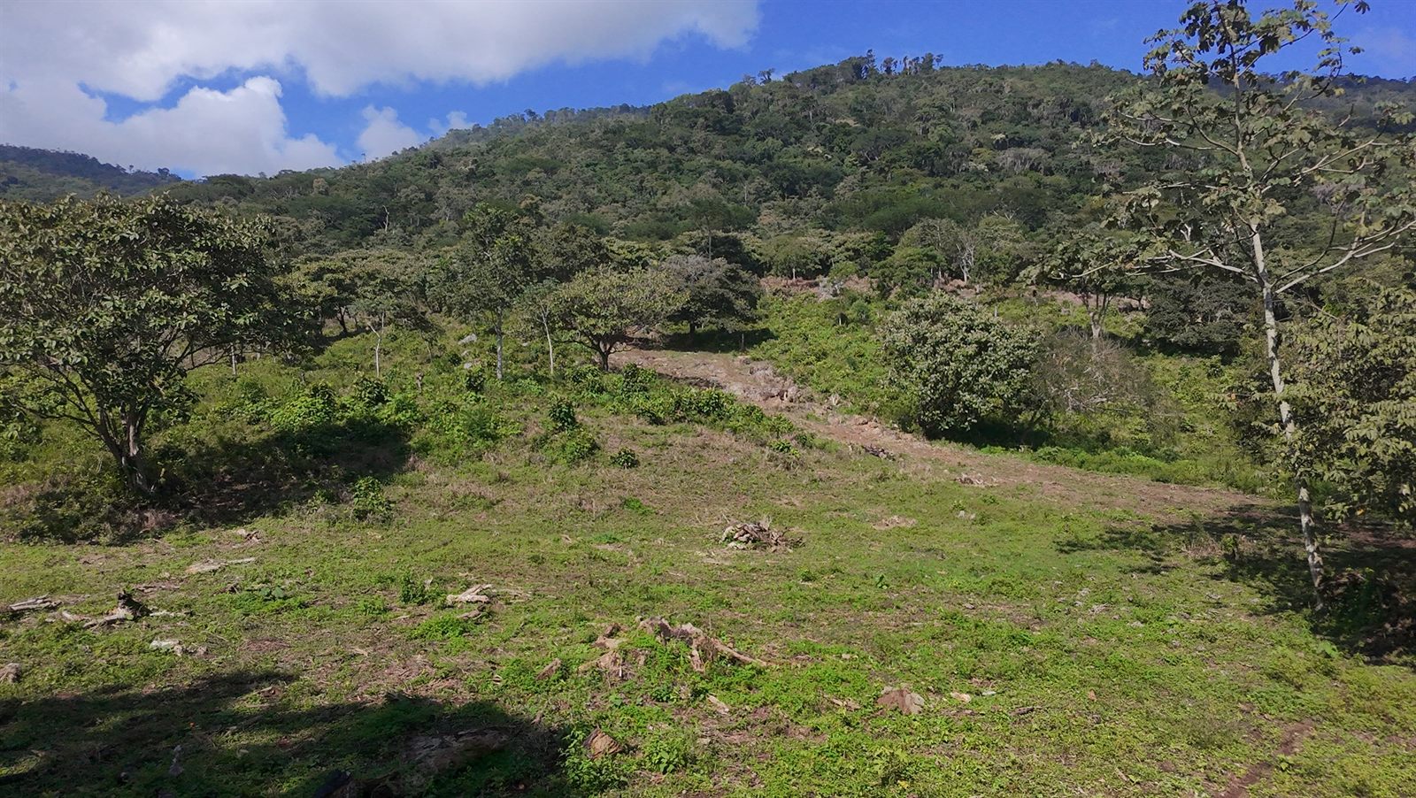 Pozo Azul: lotes frente al Lago de Yojoa
