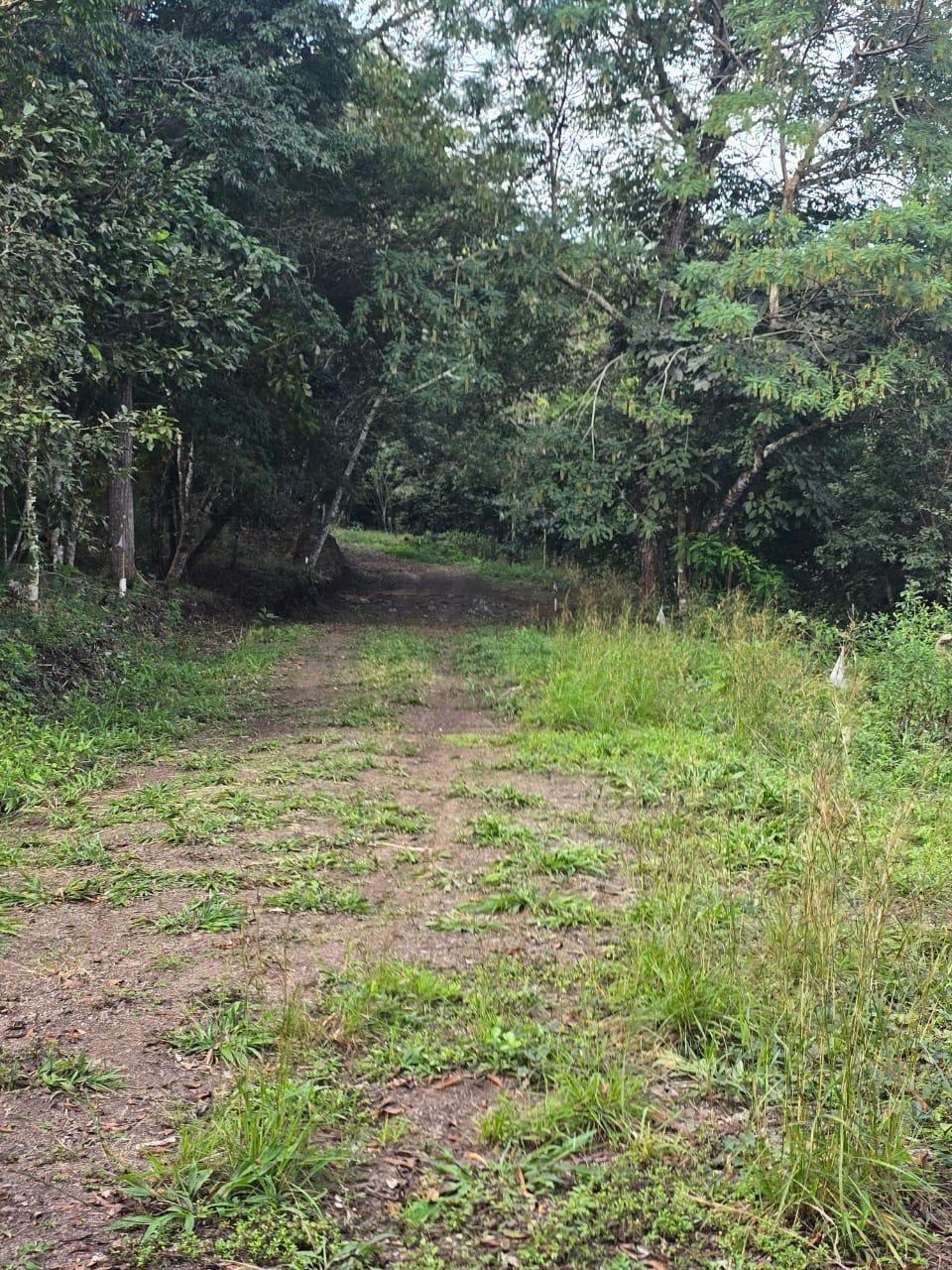 Villas San Lucas: lotes en Copán Ruinas