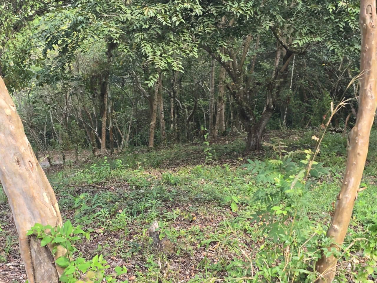 Villas San Lucas: lotes en Copán Ruinas
