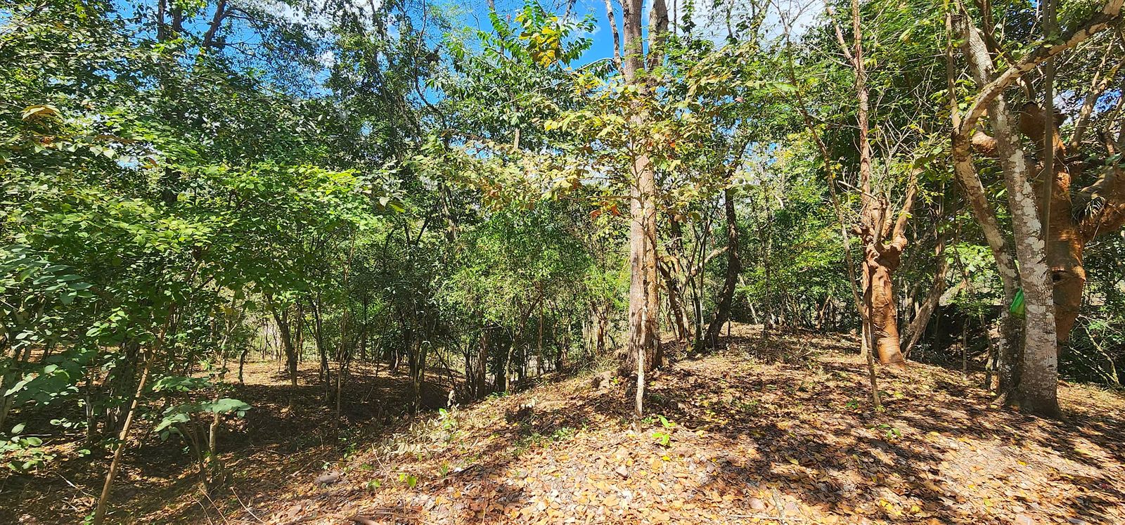 Villas San Lucas: lotes en Copán Ruinas