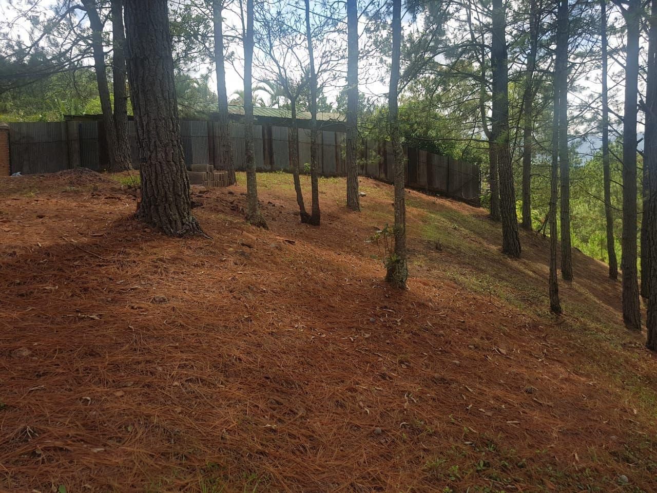 Terreno de 7,485.82 varas² en Valle de Ángeles