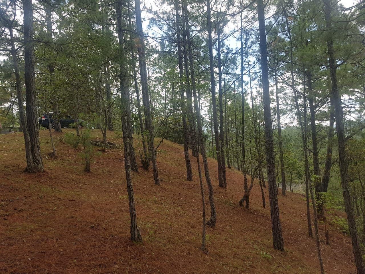 Terreno de 7,485.82 varas² en Valle de Ángeles