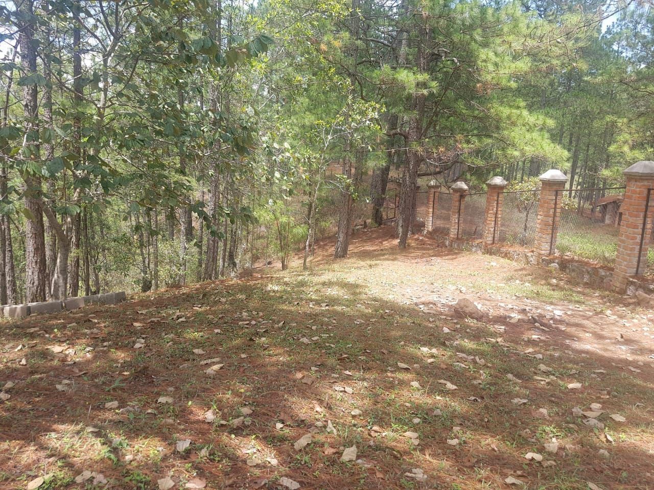 Terreno de 7,485.82 varas² en Valle de Ángeles